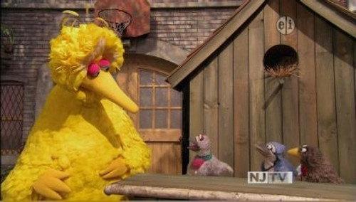 Sesame Street Season 42 Episode 9 - The Good Birds Club