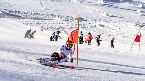 Bending Gates Season 1 Episode 6 - Lights, Camera, Skiing