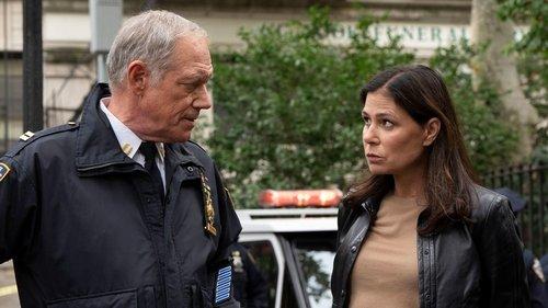 Law & Order Season 24 Episode 8 - Bad Apple