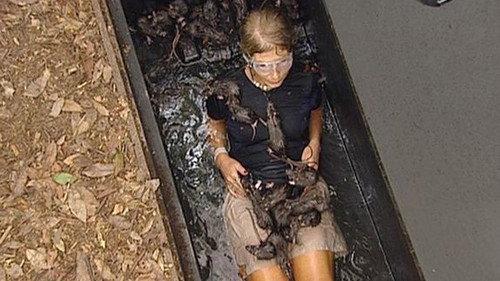 I'm a Celebrity...Get Me Out of Here! Season 3 Episode 6 - Danger Down Under