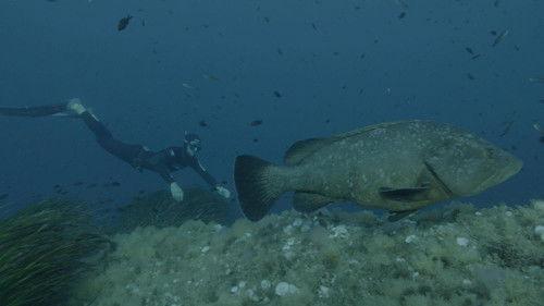 Sur le front Season 1 Episode 1 - Oceans