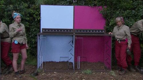 I'm a Celebrity...Get Me Out of Here! Season 12 Episode 8 - Bad Day at the Office