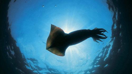 Nature Season 24 Episode 4 - Encountering Sea Monsters