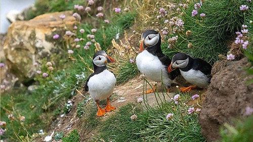 Springwatch Season 20 Episode 4 - Episode 4