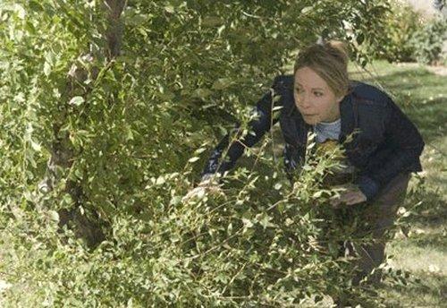 Corner Gas Season 5 Episode 16 - Coming Distractions