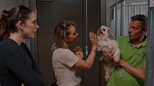 De Verhulstjes Season 6 Episode 2 - Episode 2