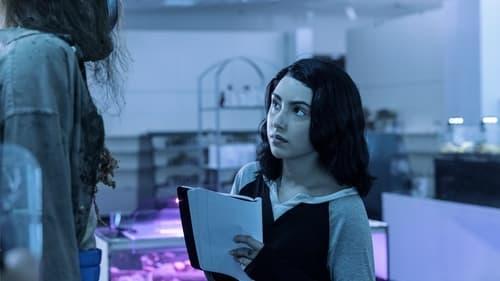 Background image for The Last Light