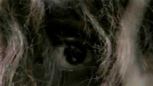 MonsterQuest Season 1 Episode 10 - Stalin's Ape Man