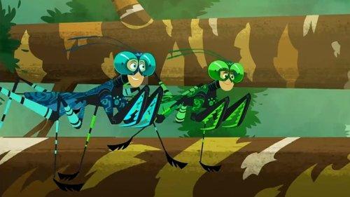 Wild Kratts Season 4 Episode 15 - Liturgusa Krattorum