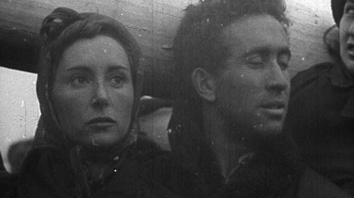 The Devil Next Door Season 1 Episode 3 - The Conspiracy