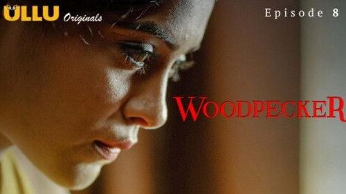 Woodpecker Season 1 Episode 8 - Episode 8