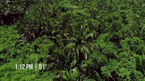 Naked and Afraid Season 11 Episode 2 - Little Person, Big Challenge