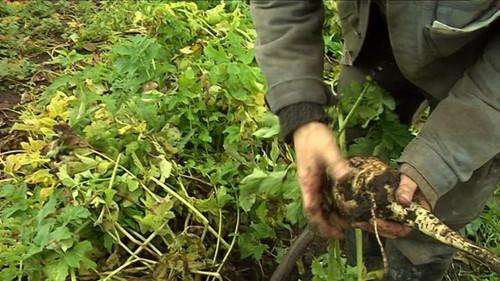 Background image for Episode 7