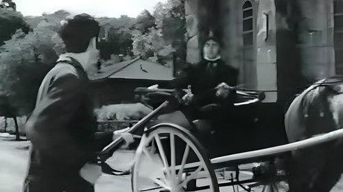 Background image for Le Crime de la mule noire