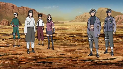 Naruto Shippūden Season 19 Episode 412 - Neji's Judgement