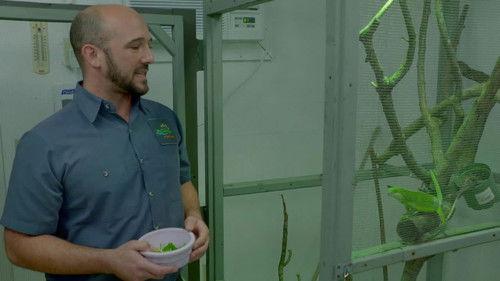 Secrets of the Zoo: Tampa Season 3 Episode 1 - All Iguana Do
