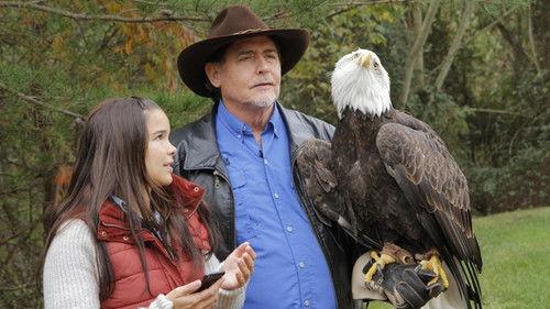 Anna und die wilden Tiere Season 1 Episode 19 - Episode 19