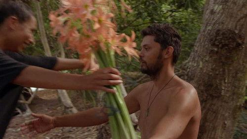 Expeditie Robinson Season 24 Episode 14 - Episode 14