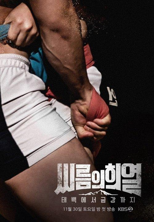 씨름의 희열 - 태백에서 금강까지 poster