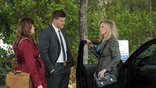 undefined Season 7 Episode 3 - The Prince in the Plastic