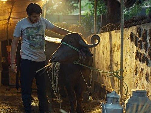 Hostel Daze Season 2 Episode 4 - Ghar Wapsi