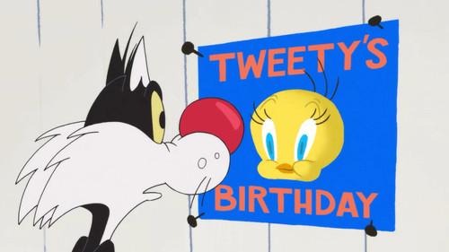 Looney Tunes Cartoons Season 3 Episode 4 - Happy Birdy to You