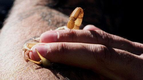 Kings of Pain Season 2 Episode 1 - The Scorpion King