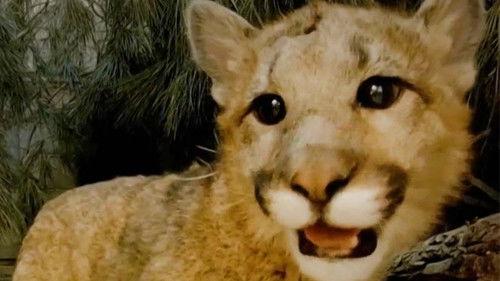 The Zoo: San Diego Season 2 Episode 3 - Cubs Come Home