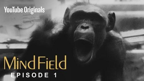 Mind Field Season 3 Episode 1 - The Cognitive Tradeoff Hypothesis