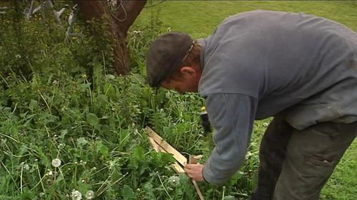 Background image for Episode 1