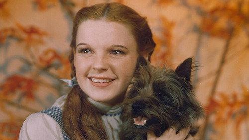 Cursed Films Season 2 Episode 1 - The Wizard of Oz
