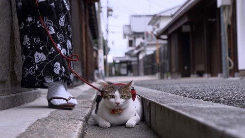 A Cat's-Eye View of Japan Season 4 Episode 10 - Osaka: Steeped in Tradition