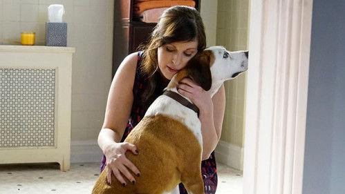 Downward Dog Season 1 Episode 1 - Pilot