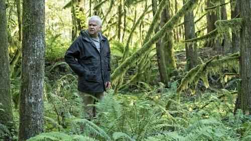 Background image for If a Deer Sh*ts in the Woods