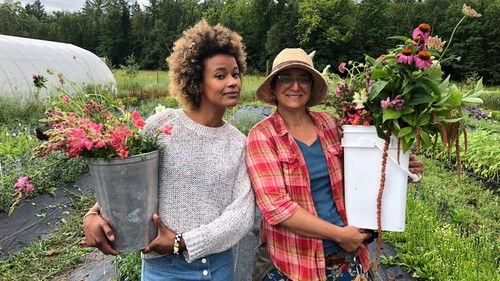 De par chez nous Season 4 Episode 3 - Episode 3