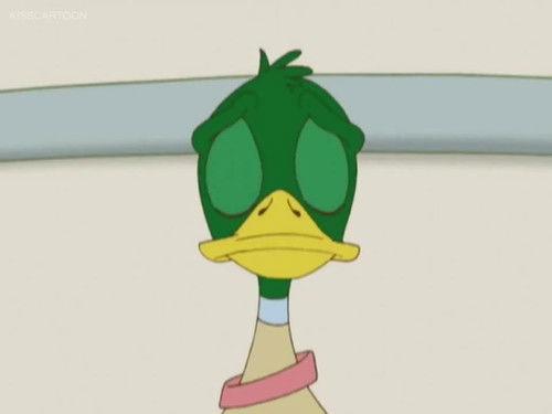 Maya & Miguel Season 1 Episode 5 - Rhymes with 'Gato