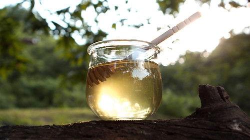 Trails to Oishii Tokyo Season 2 Episode 12 - HONEY