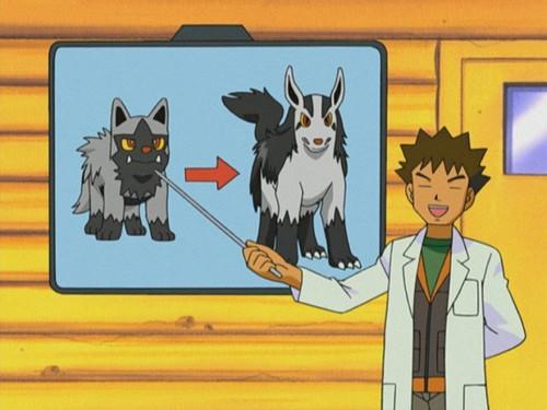 Pokémon Season 6 Episode 11 - A Bite to Remember