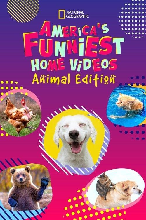 America's Funniest Home Videos: Animal Edition poster