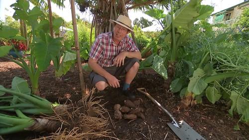 Gardening Australia Season 31 Episode 24 - Episode 24