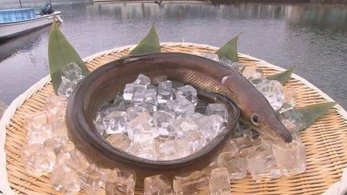 Background image for Hamo