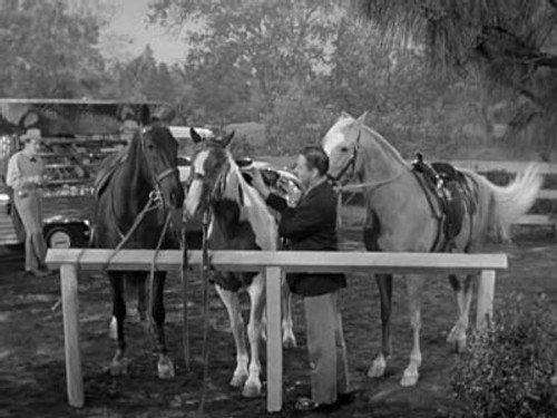 Mister Ed Season 2 Episode 8 - Mister Ed's Blues