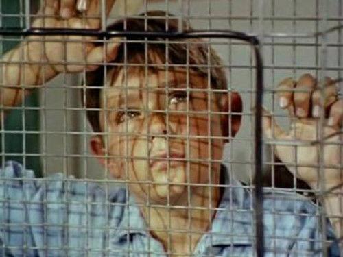 Skippy the Bush Kangaroo Season 2 Episode 8 - The Mine