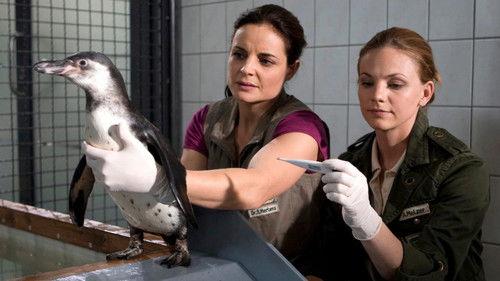 Tierärztin Dr. Mertens Season 3 Episode 1 - Episode 1