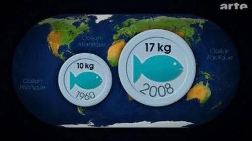 Mapping the World Season 22 Episode 12 - Episode 12
