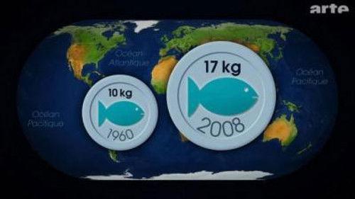 Mapping the World Season 22 Episode 12 - Episode 12