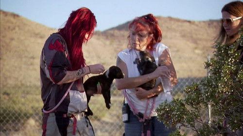 Pit Bulls and Parolees Season 3 Episode 9 - Cut Loose