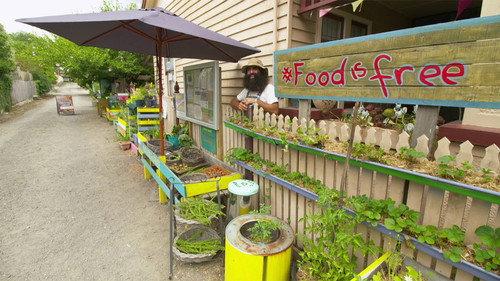 Gardening Australia Season 31 Episode 16 - Episode 16 Viewers' Favourites