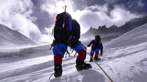 Pet Star Season 2 Episode 2 - Pet Star: 17