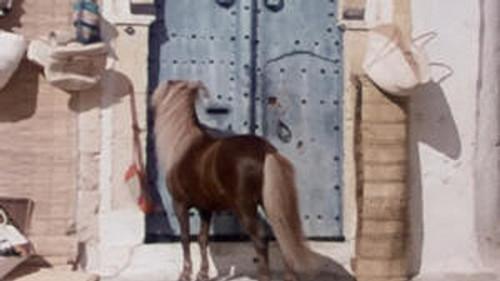 Poly Season 9 Episode 10 - Episode 10